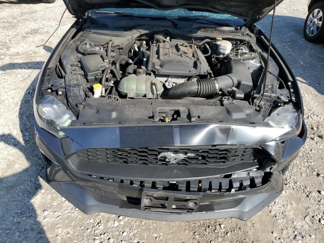 2019 Ford Mustang VIN: 1FA6P8TH5K5195210 Lot: 63596804