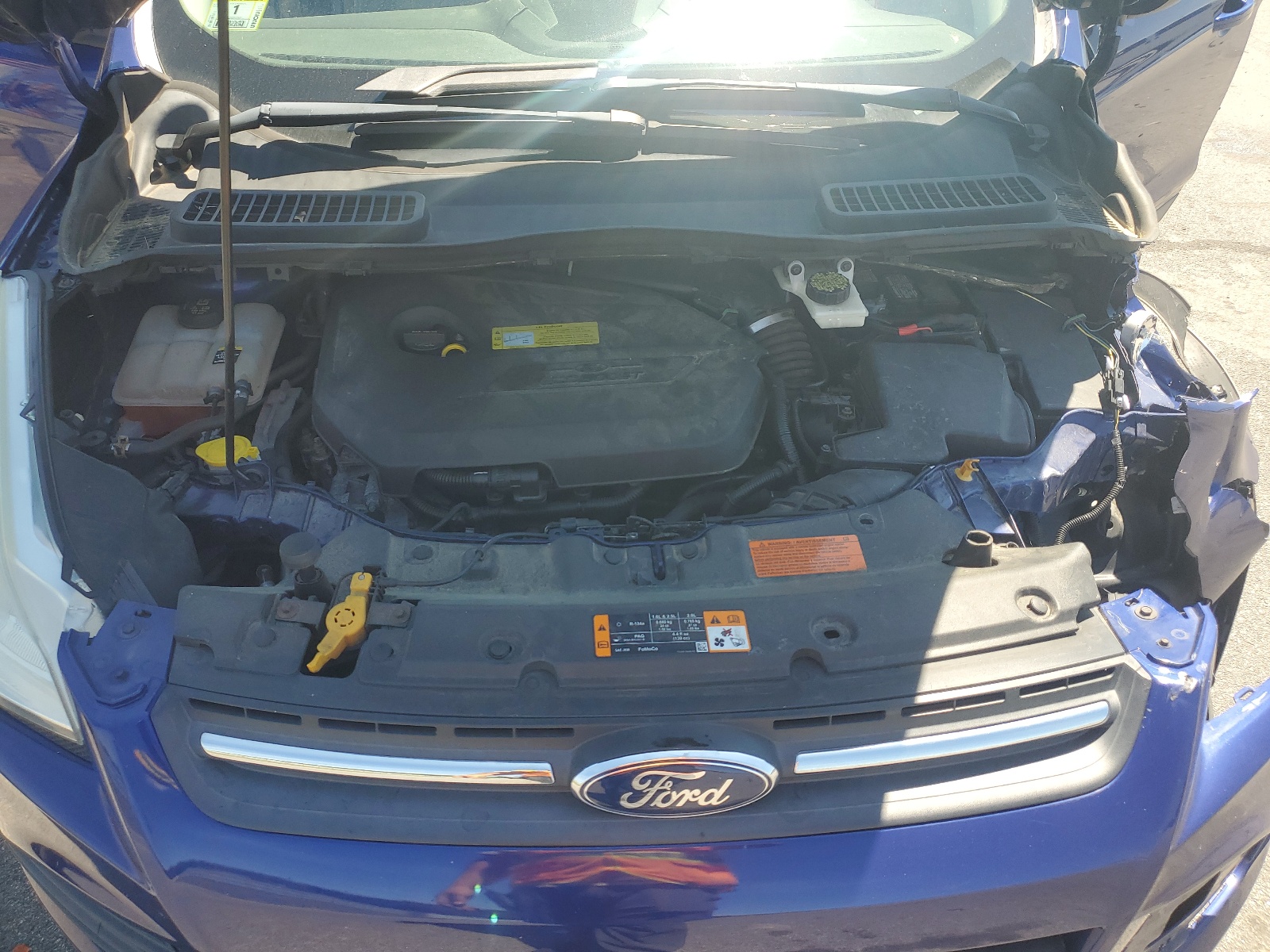 1FMCU9GX9DUC58293 2013 Ford Escape Se