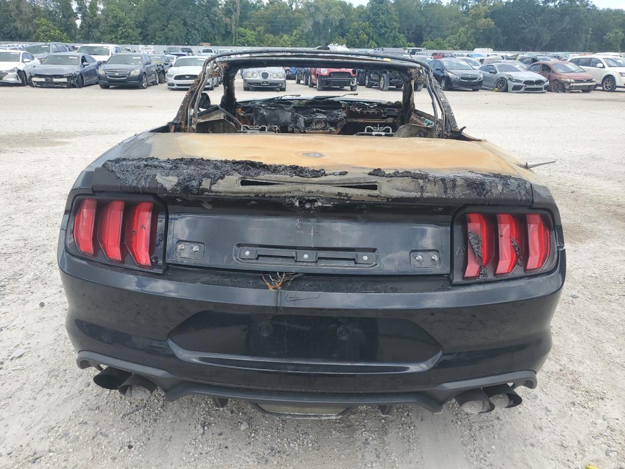 1FATP8FF2K5171976 2019 Ford Mustang Gt