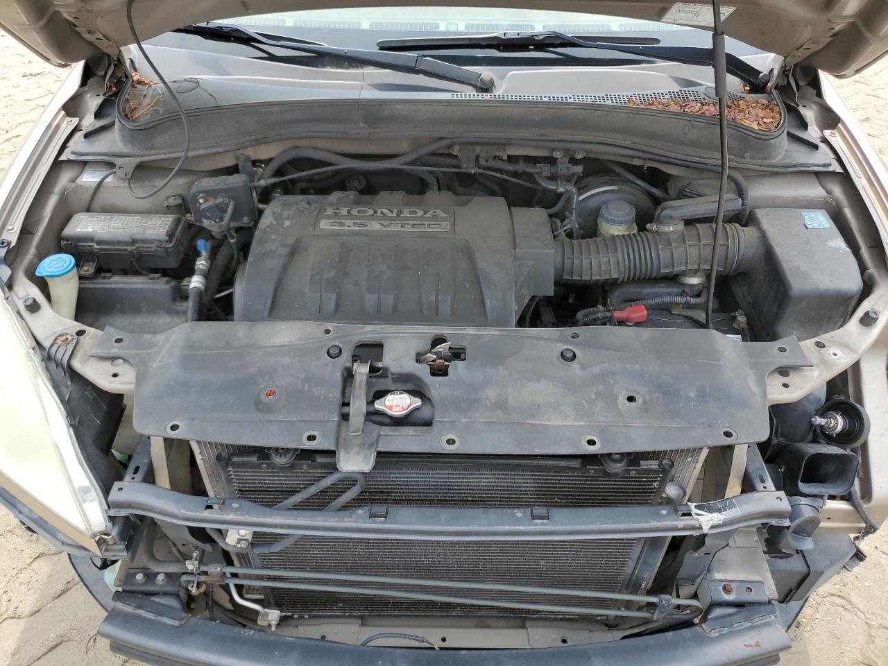 2005 Honda Pilot Exl VIN: 5FNYF186X5B032236 Lot: 63846444