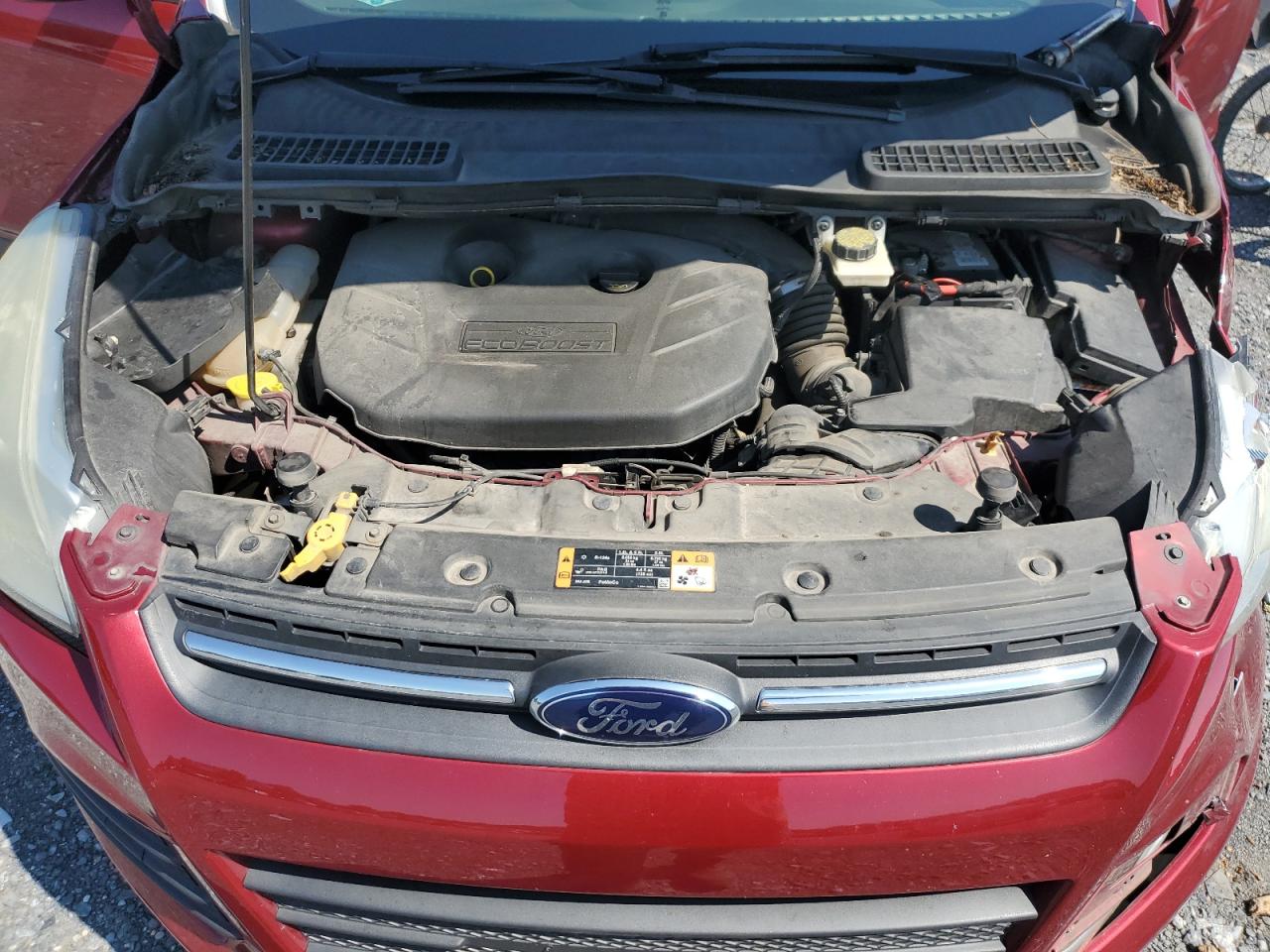 2014 Ford Escape Se VIN: 1FMCU9G92EUA94906 Lot: 64037174