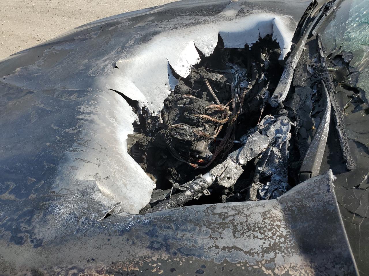 2014 BMW 528 I VIN: WBA5A5C58ED500802 Lot: 64458694