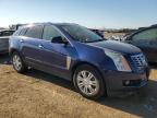 2013 Cadillac Srx Luxury Collection იყიდება Brighton-ში, CO - Hail