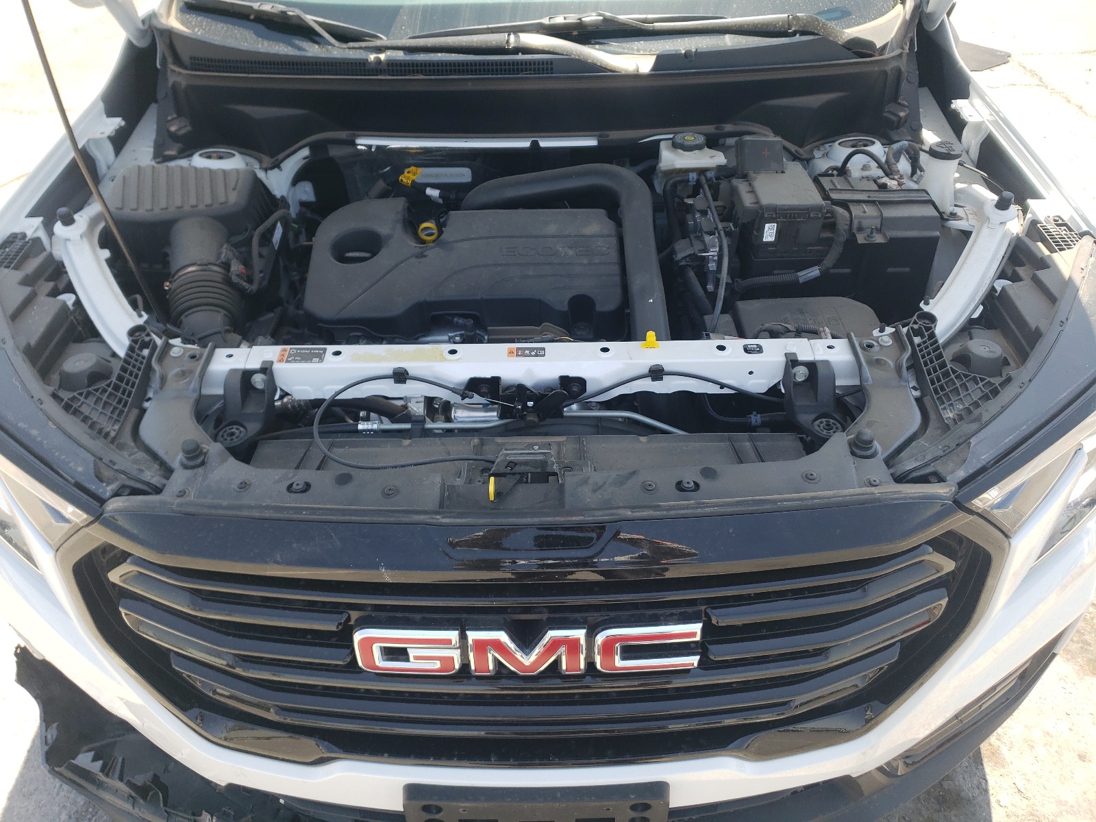 3GKALMEG1RL261893 2024 GMC Terrain Sle