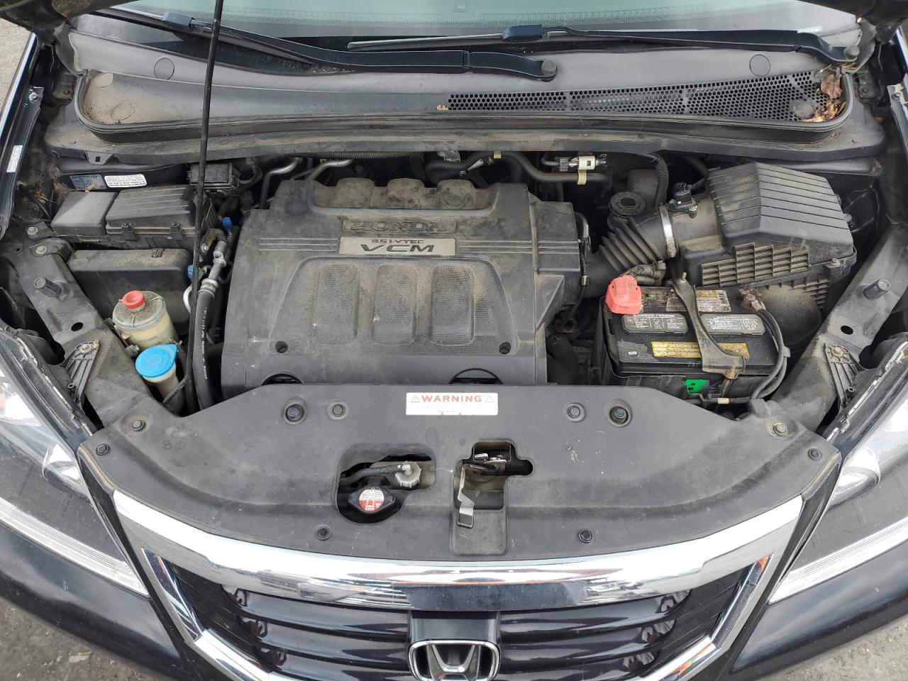 2009 Honda Odyssey Touring VIN: 5FNRL38839B017254 Lot: 64085754