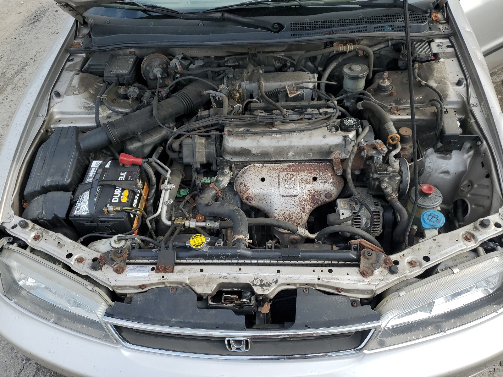 1HGCD5631TA259466 1996 Honda Accord Lx