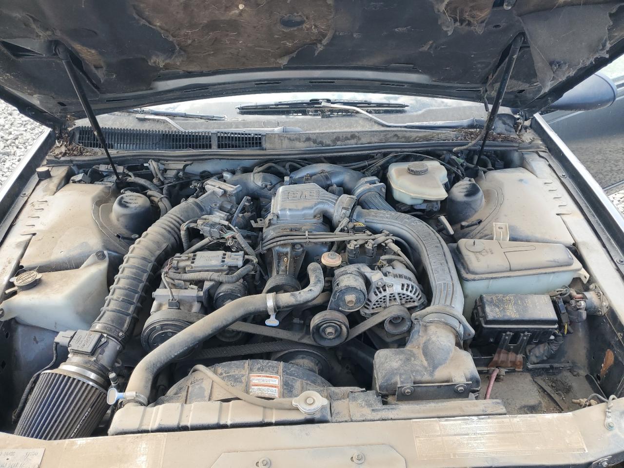 1992 Ford Thunderbird Super Coupe VIN: 1FAPP64R9NH178641 Lot: 63554684
