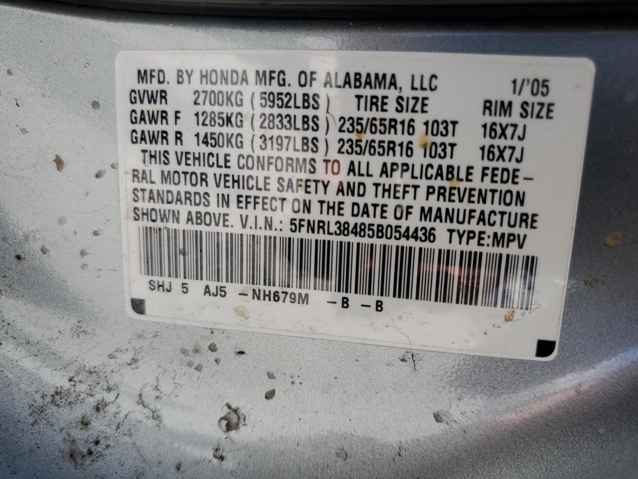 2005 Honda Odyssey Ex VIN: 5FNRL38485B054436 Lot: 61339794
