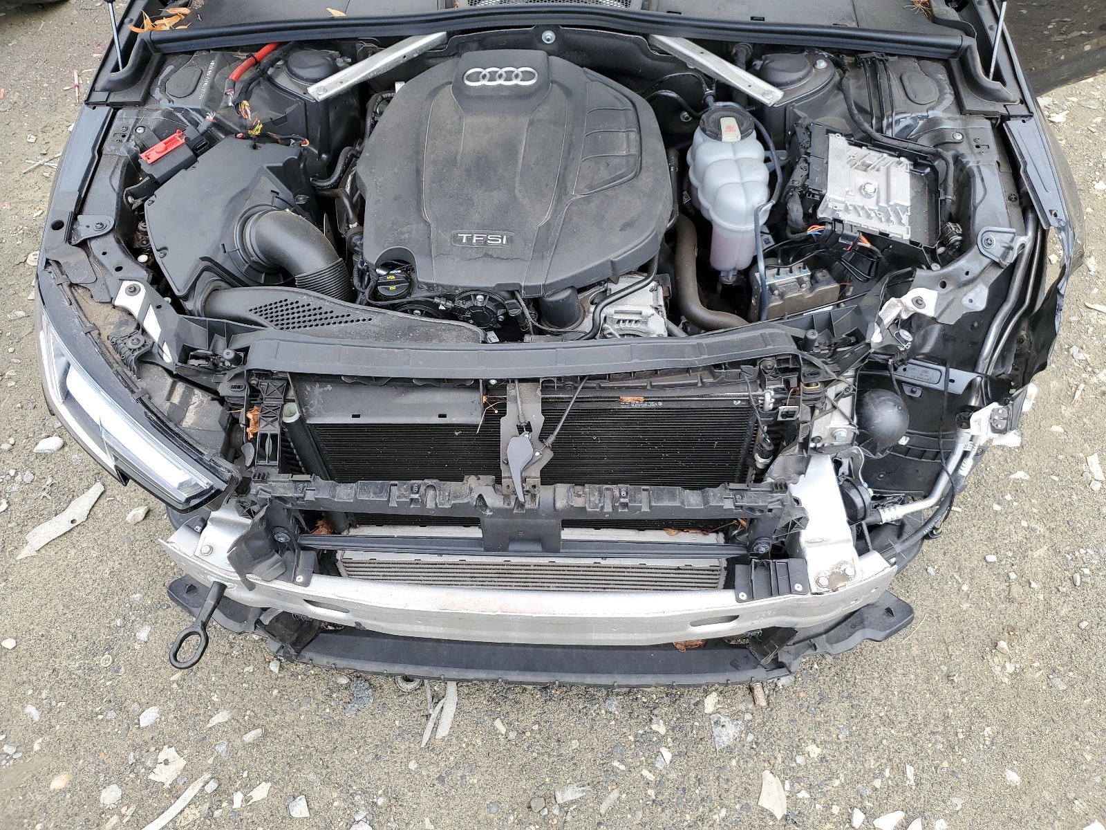 WAUENAF45KN020559 2019 Audi A4 Premium Plus