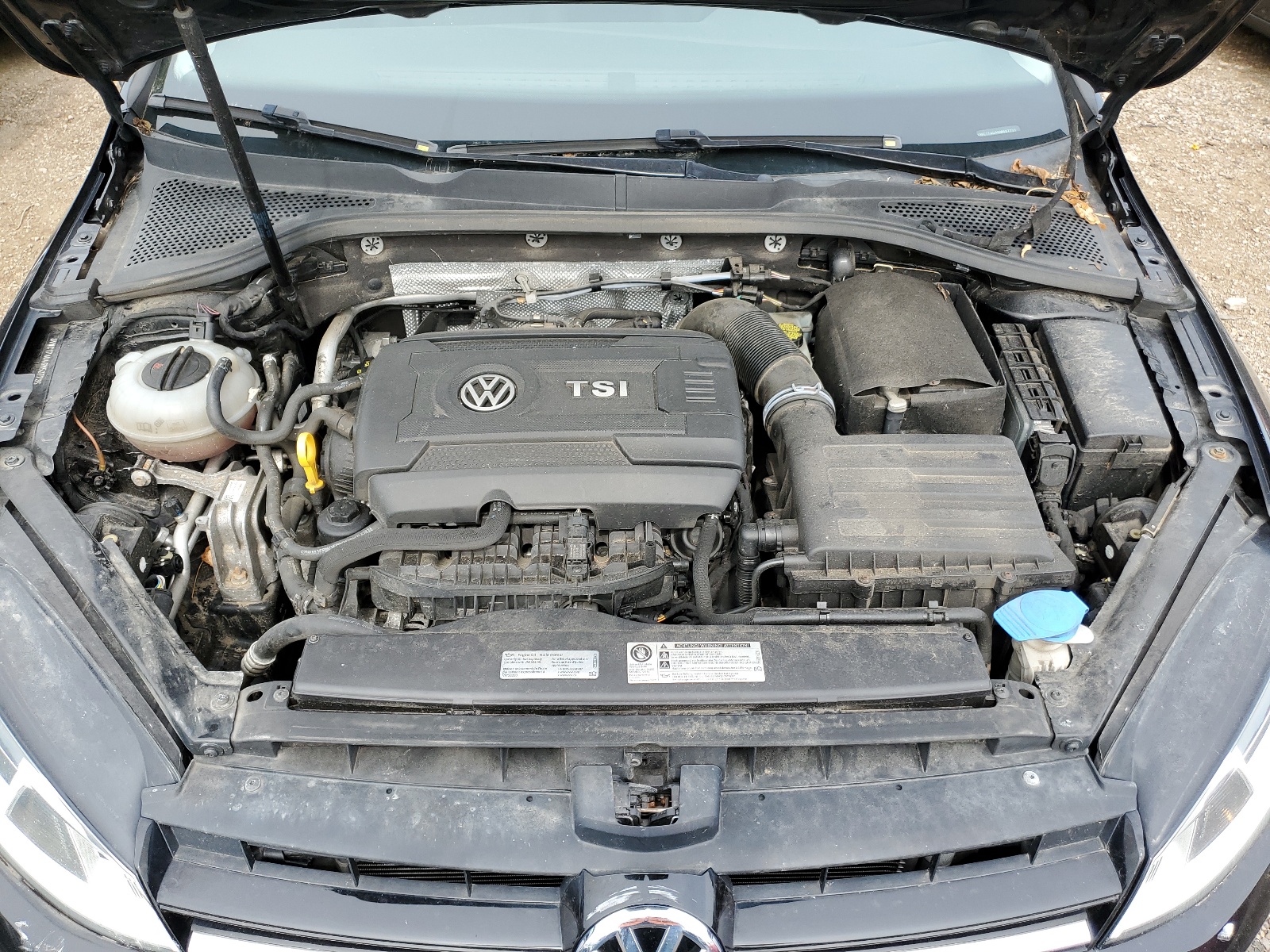 3VWC17AU4GM507735 2016 Volkswagen Golf Sportwagen S