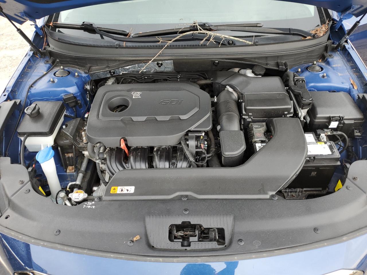 2016 Hyundai Sonata Sport VIN: 5NPE34AF3GH312513 Lot: 61923184