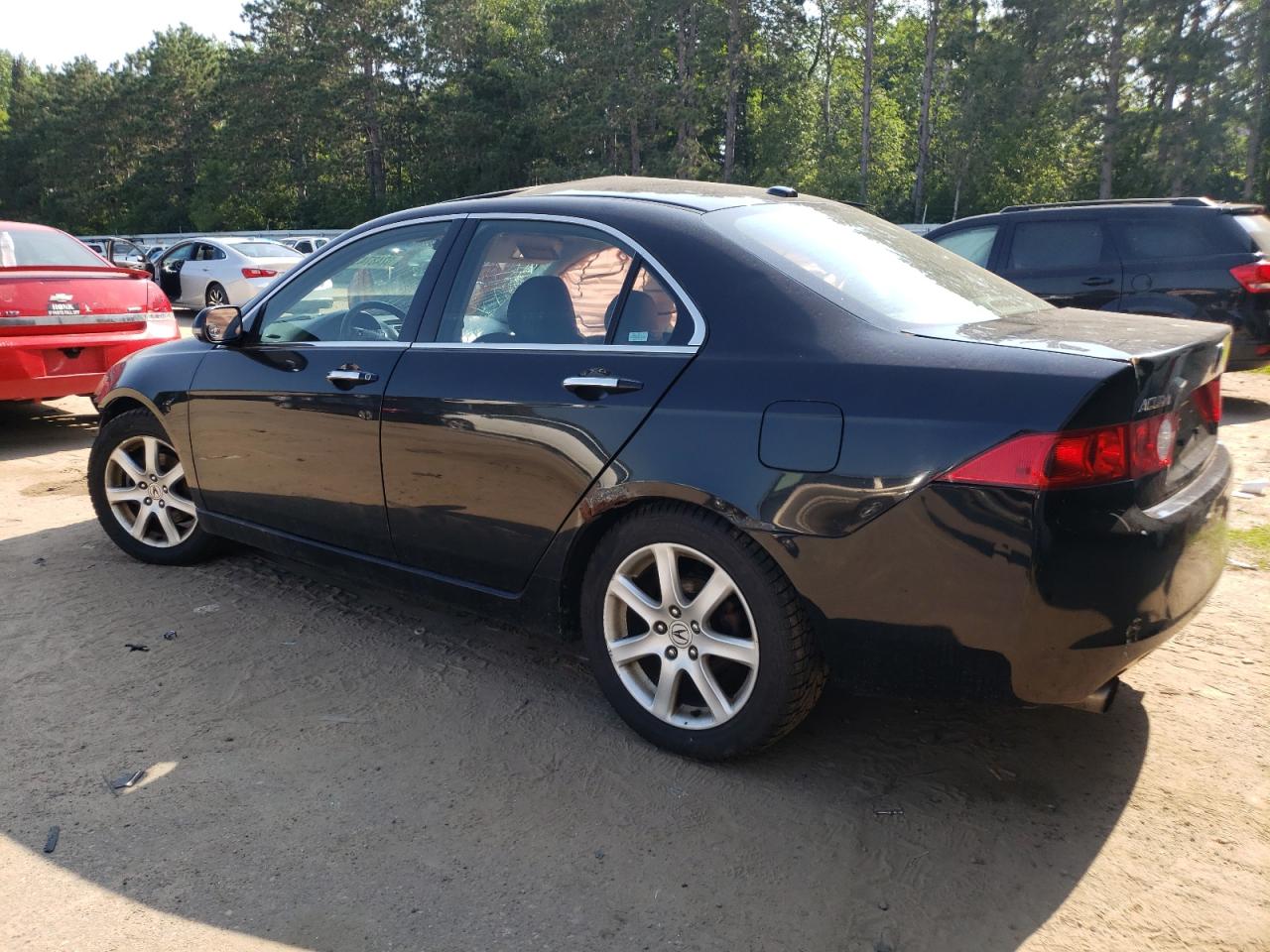 2005 Acura Tsx VIN: JH4CL96905C034541 Lot: 62487434