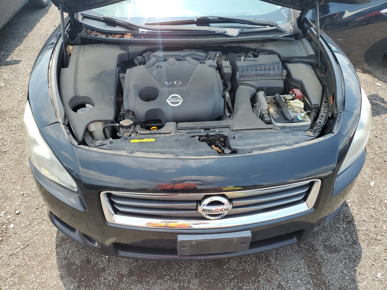 1N4AA5AP9EC435654 2014 Nissan Maxima S