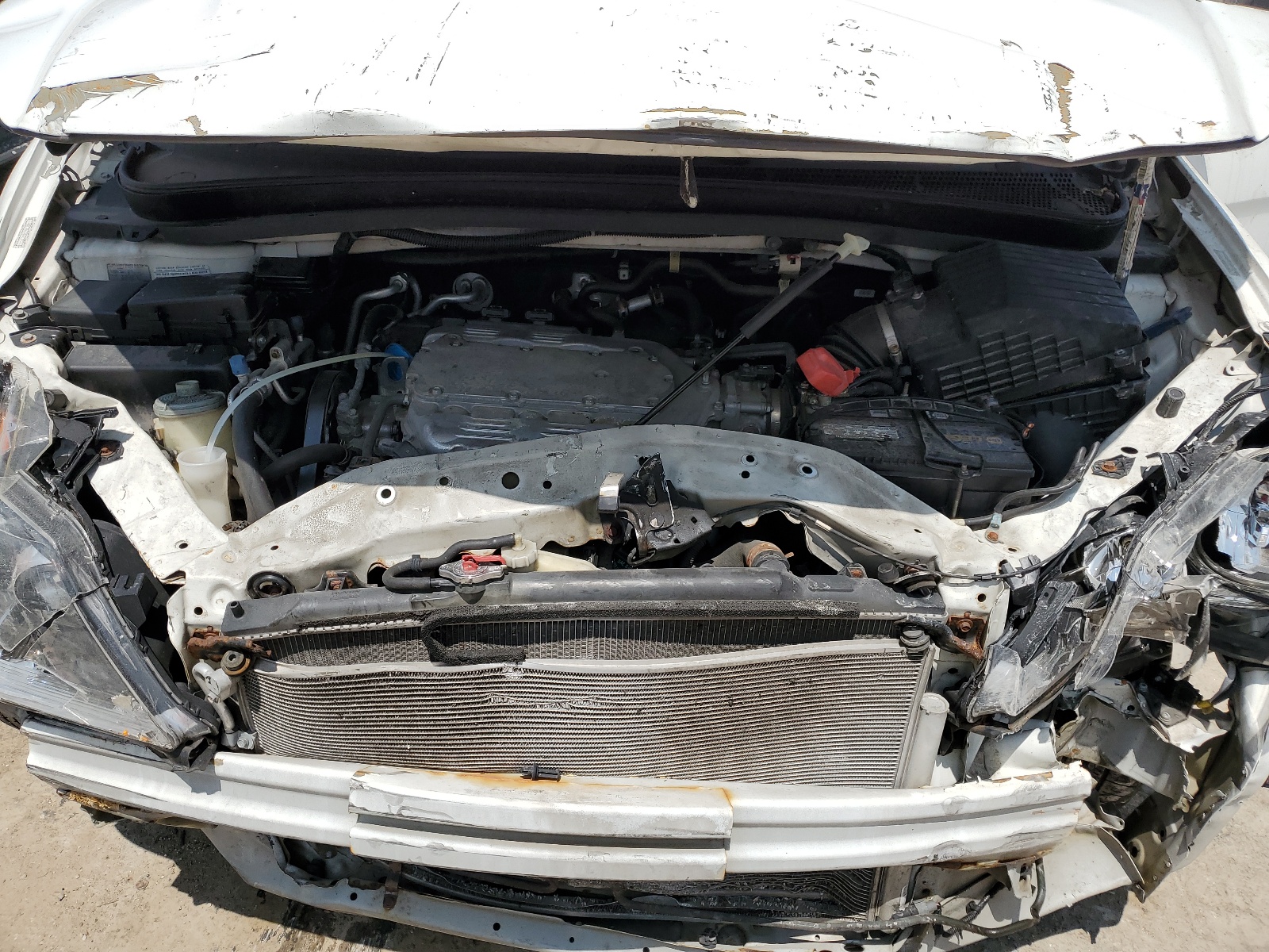 5FNRL38649B407973 2009 Honda Odyssey Exl