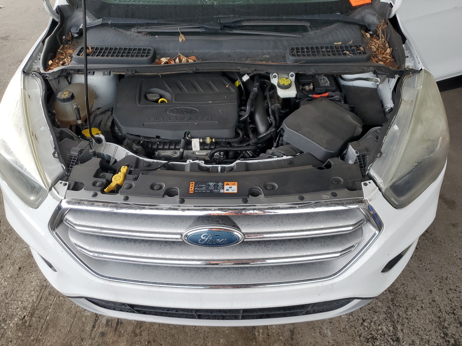 1FMCU0GD3HUD81899 2017 Ford Escape Se