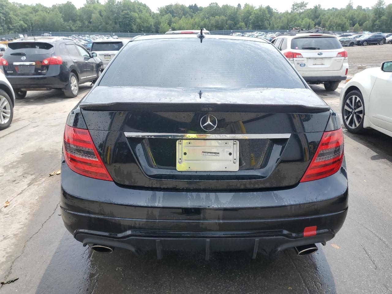 2012 Mercedes-Benz C 300 4Matic VIN: WDDGF8BB5CR191110 Lot: 64081164