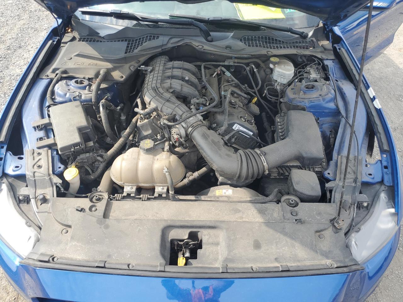 2017 Ford Mustang VIN: 1FA6P8AM9H5256258 Lot: 61675584