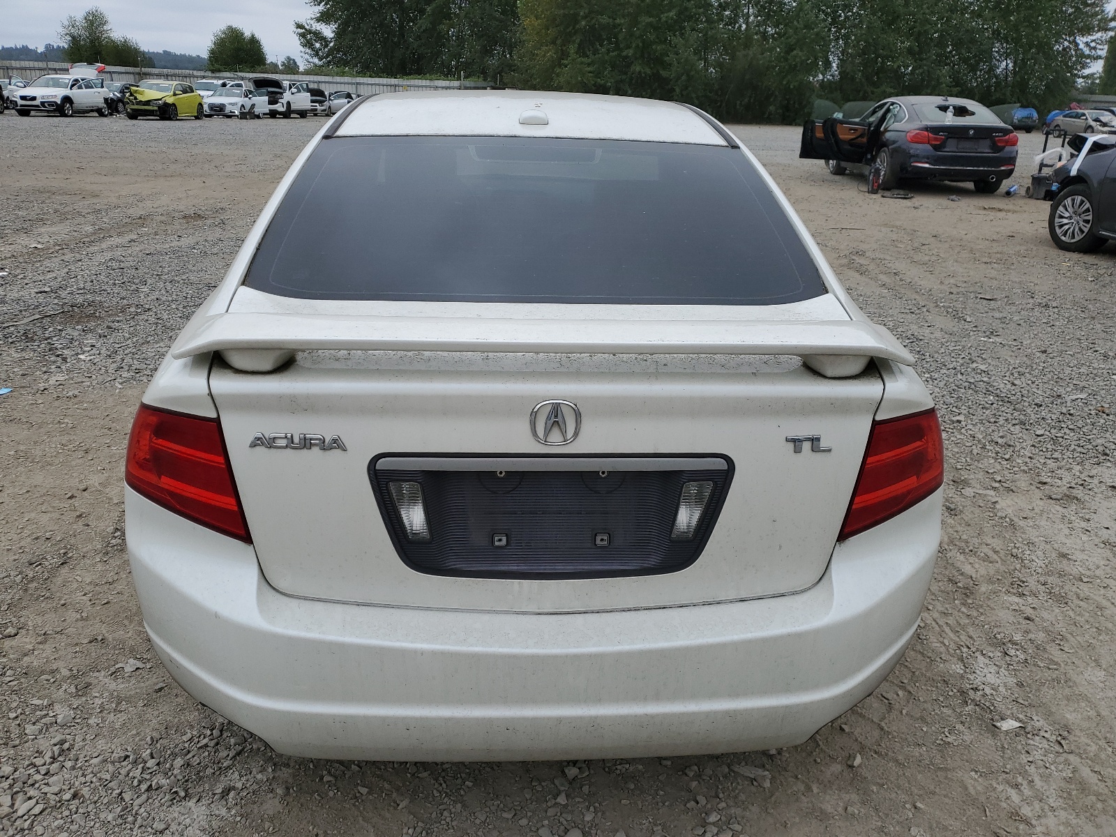 19UUA66216A031689 2006 Acura 3.2Tl