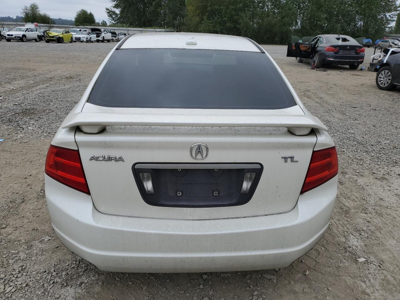 2006 Acura 3.2Tl VIN: 19UUA66216A031689 Lot: 64197574