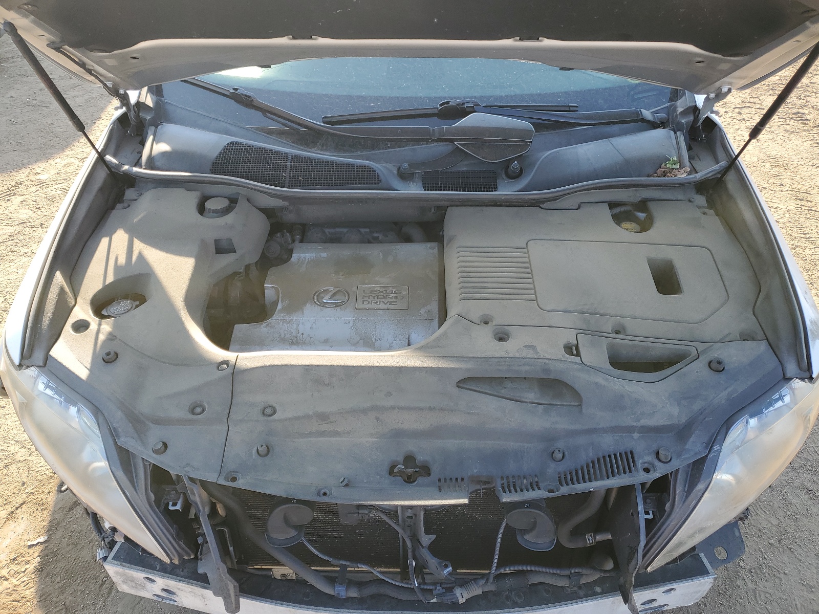 JTJBC1BA2A2003917 2010 Lexus Rx 450