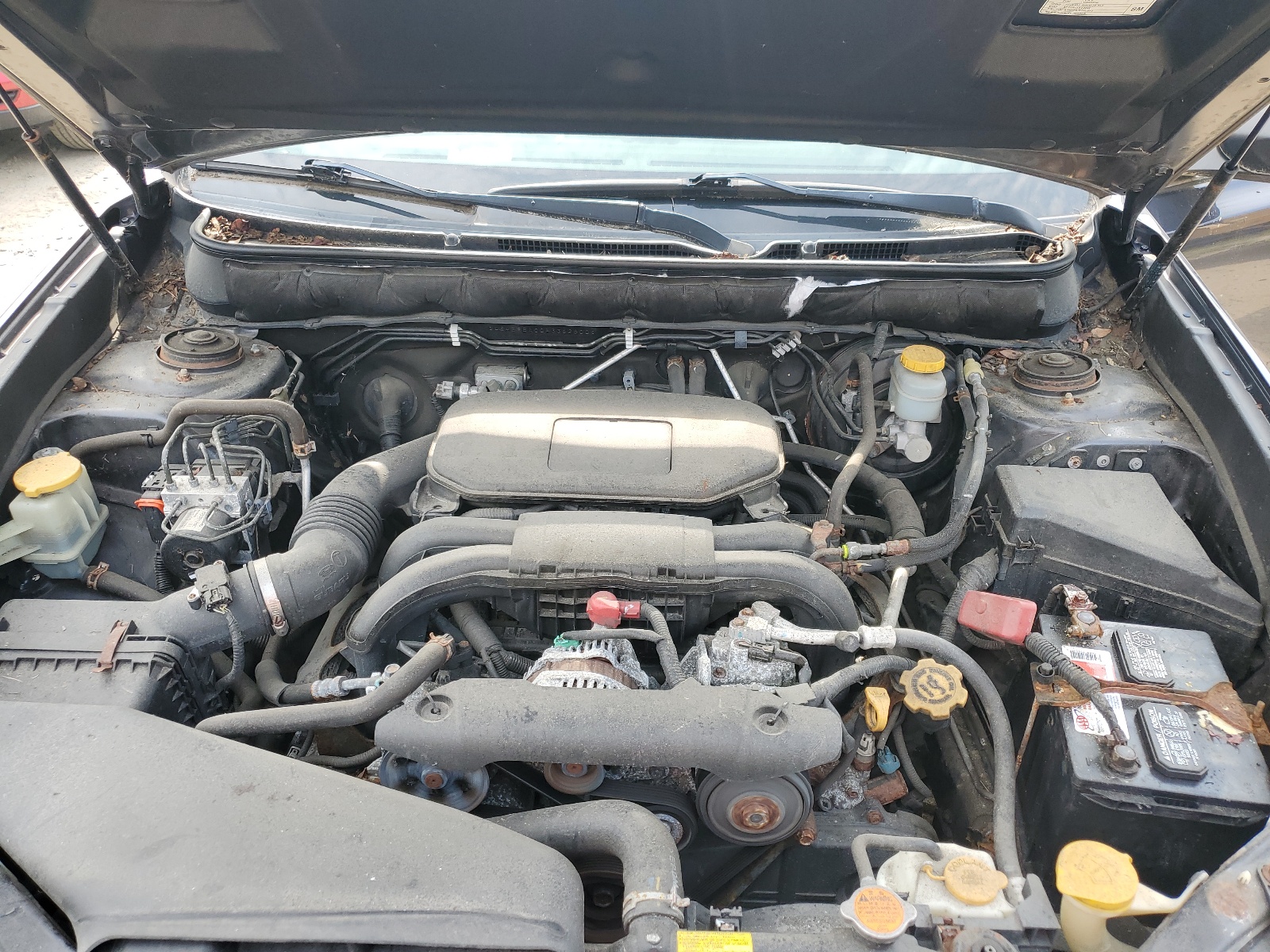 4S4BRBAC0A3362800 2010 Subaru Outback 2.5I