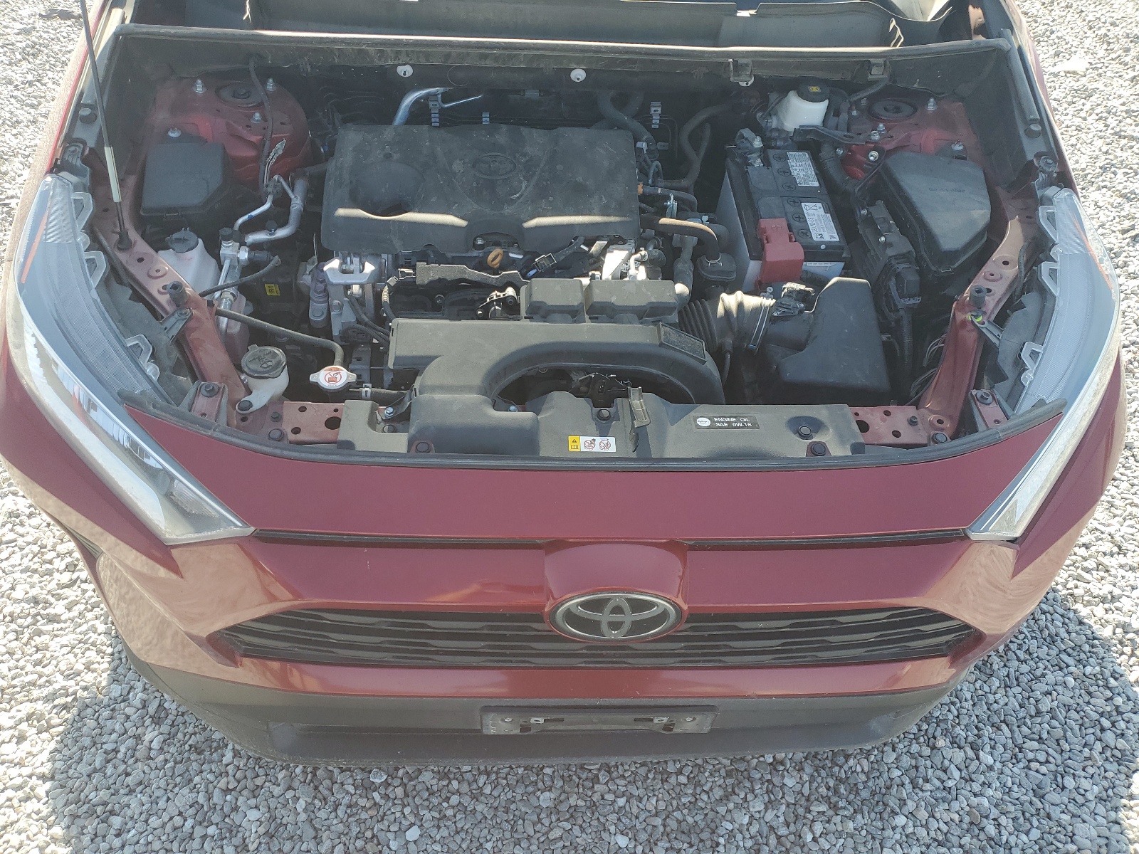 2T3A1RFV7MW223551 2021 Toyota Rav4 Xle Premium