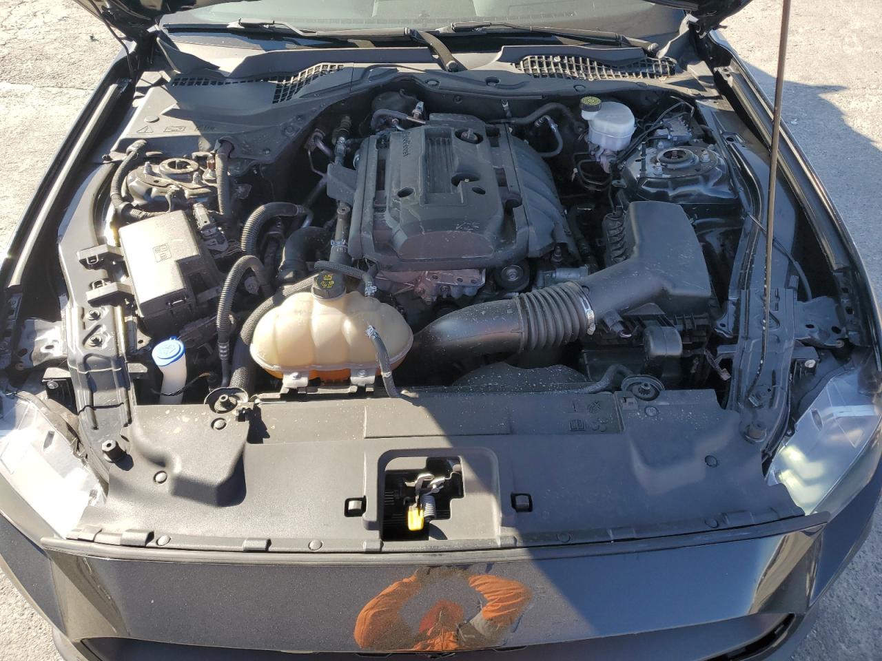 2020 Ford Mustang VIN: 1FA6P8TH3L5187527 Lot: 64524204