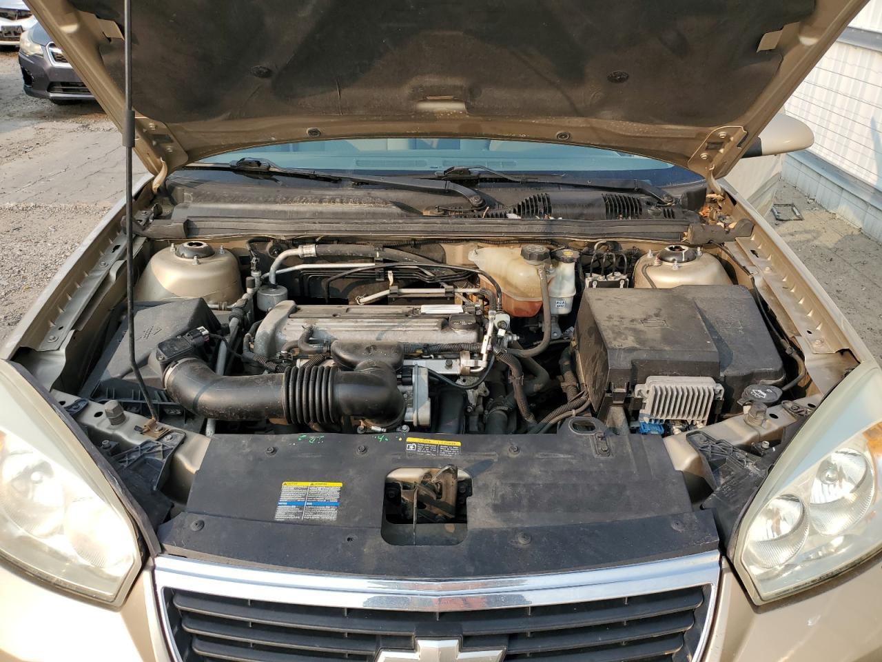 2006 Chevrolet Malibu Lt VIN: 1G1ZT51FX6F295010 Lot: 64266064