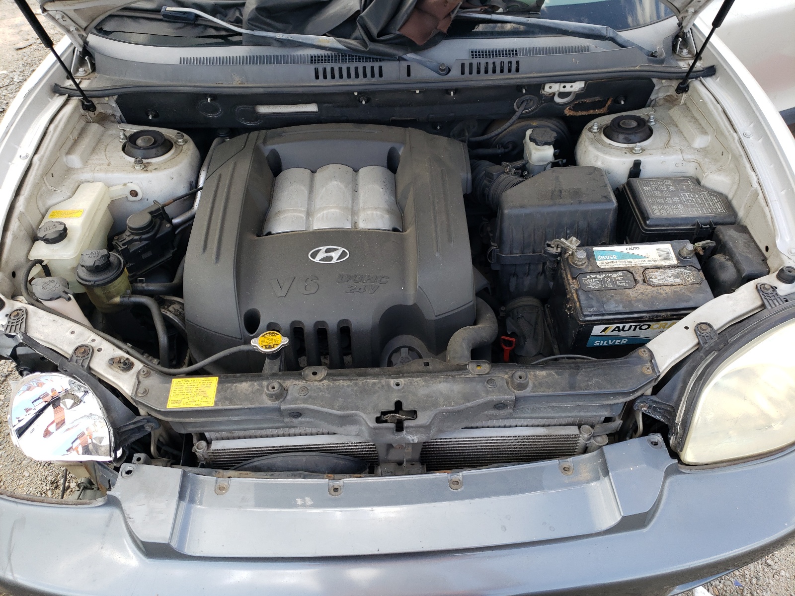 KM8SC13D64U572334 2004 Hyundai Santa Fe Gls