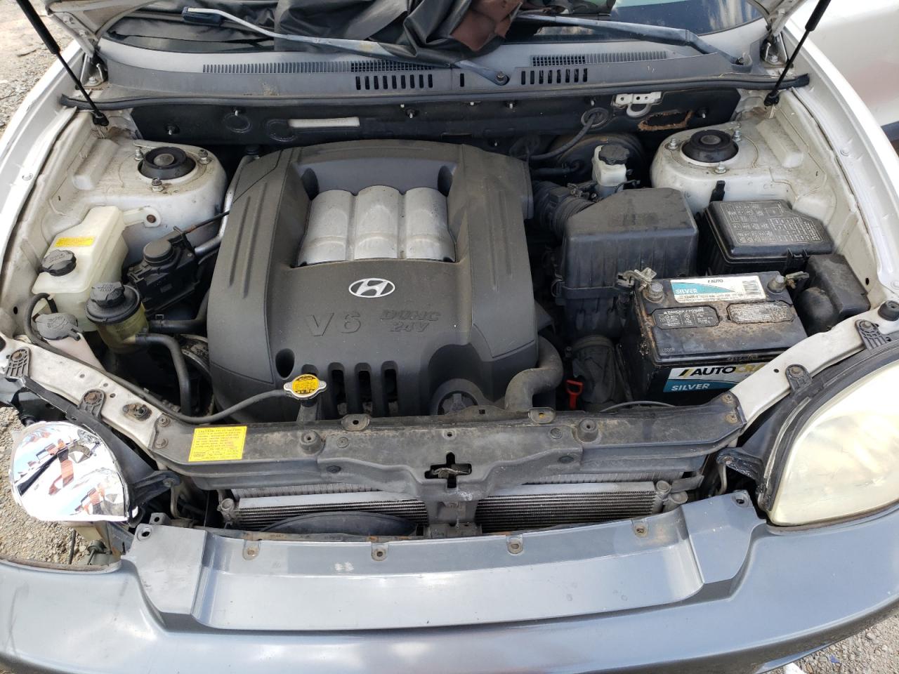 2004 Hyundai Santa Fe Gls VIN: KM8SC13D64U572334 Lot: 62426834