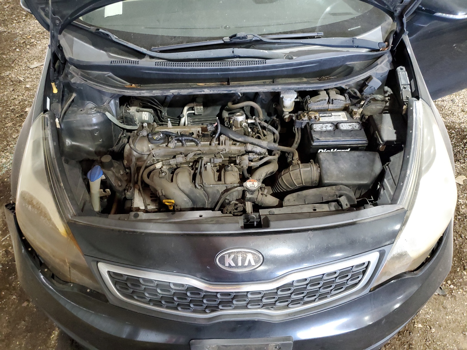 KNADN4A35C6073611 2012 Kia Rio Ex