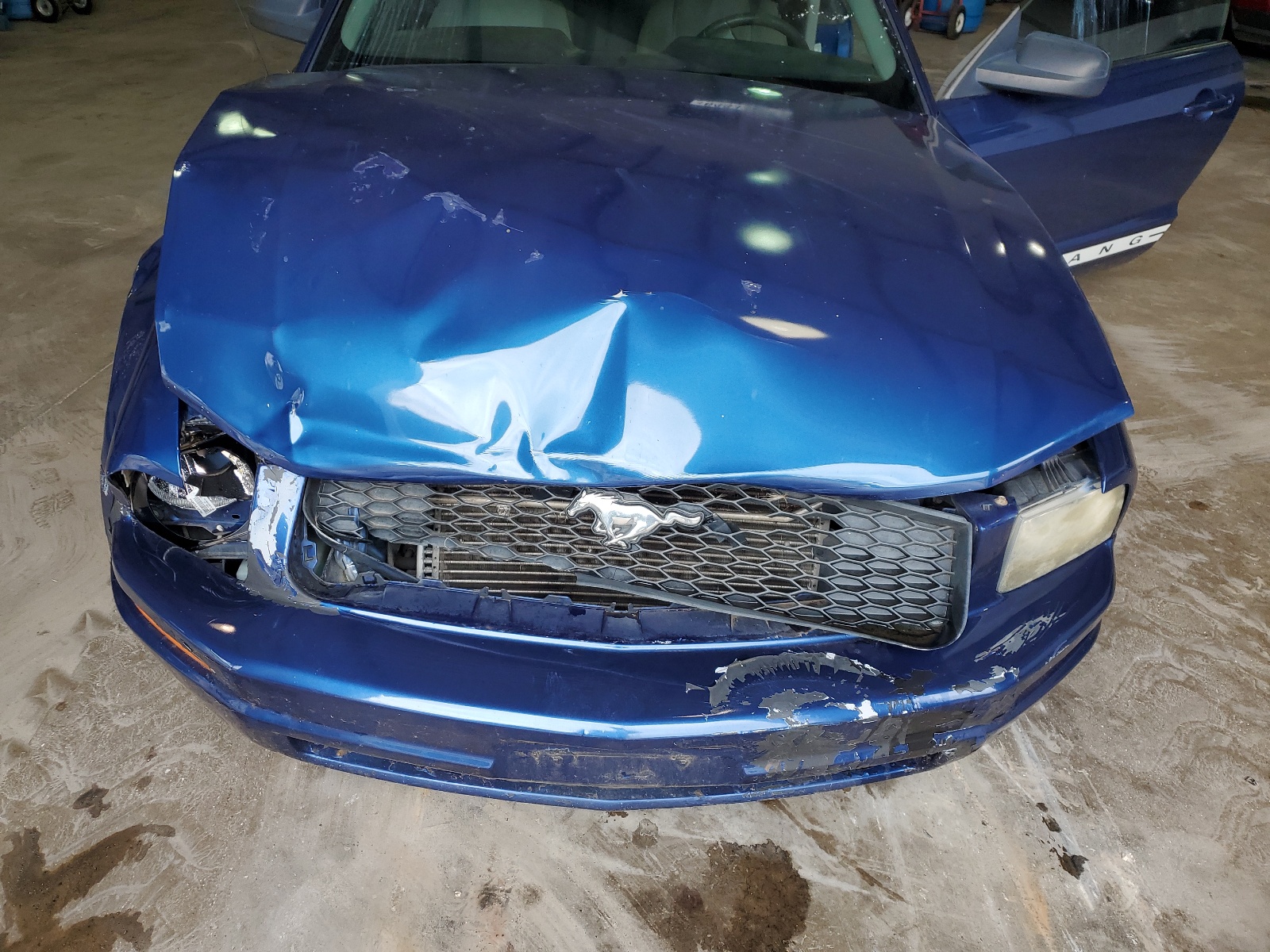 1ZVHT80N895107024 2009 Ford Mustang
