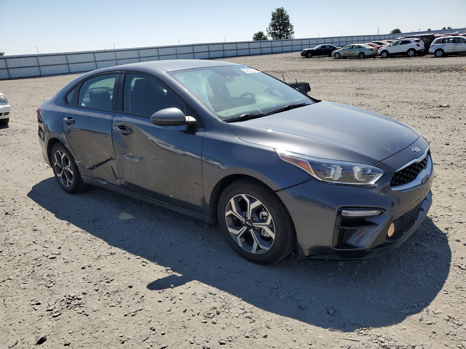 2020 Kia Forte Fe vin: 3KPF24AD7LE212290