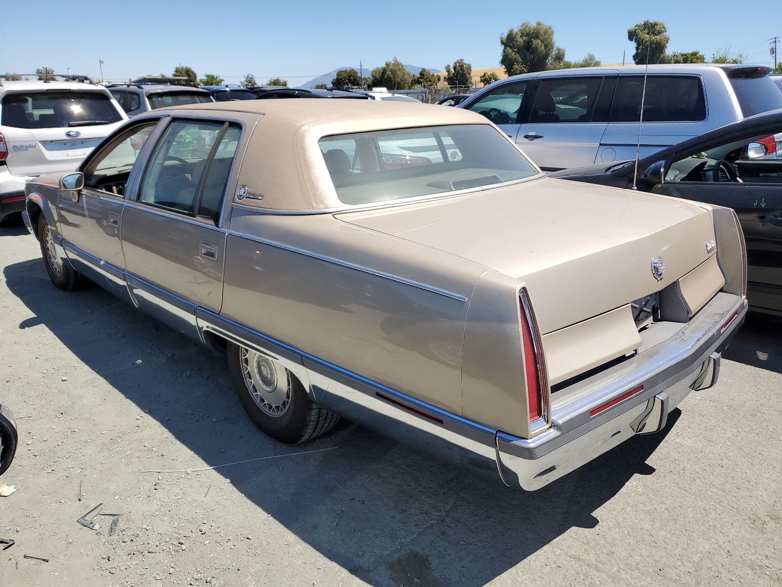 1G6DW5276PR713355 1993 Cadillac Fleetwood Chassis