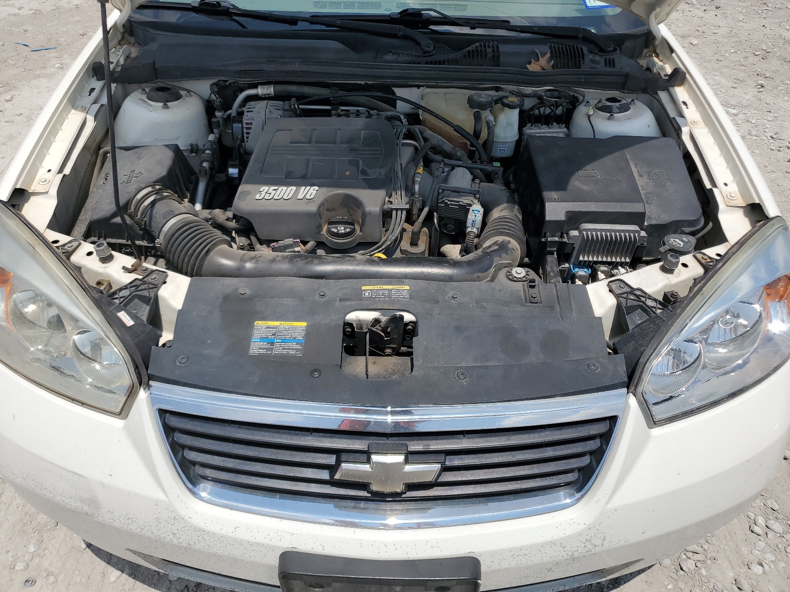 1G1ZT53896F137742 2005 Chevrolet Malibu Lt