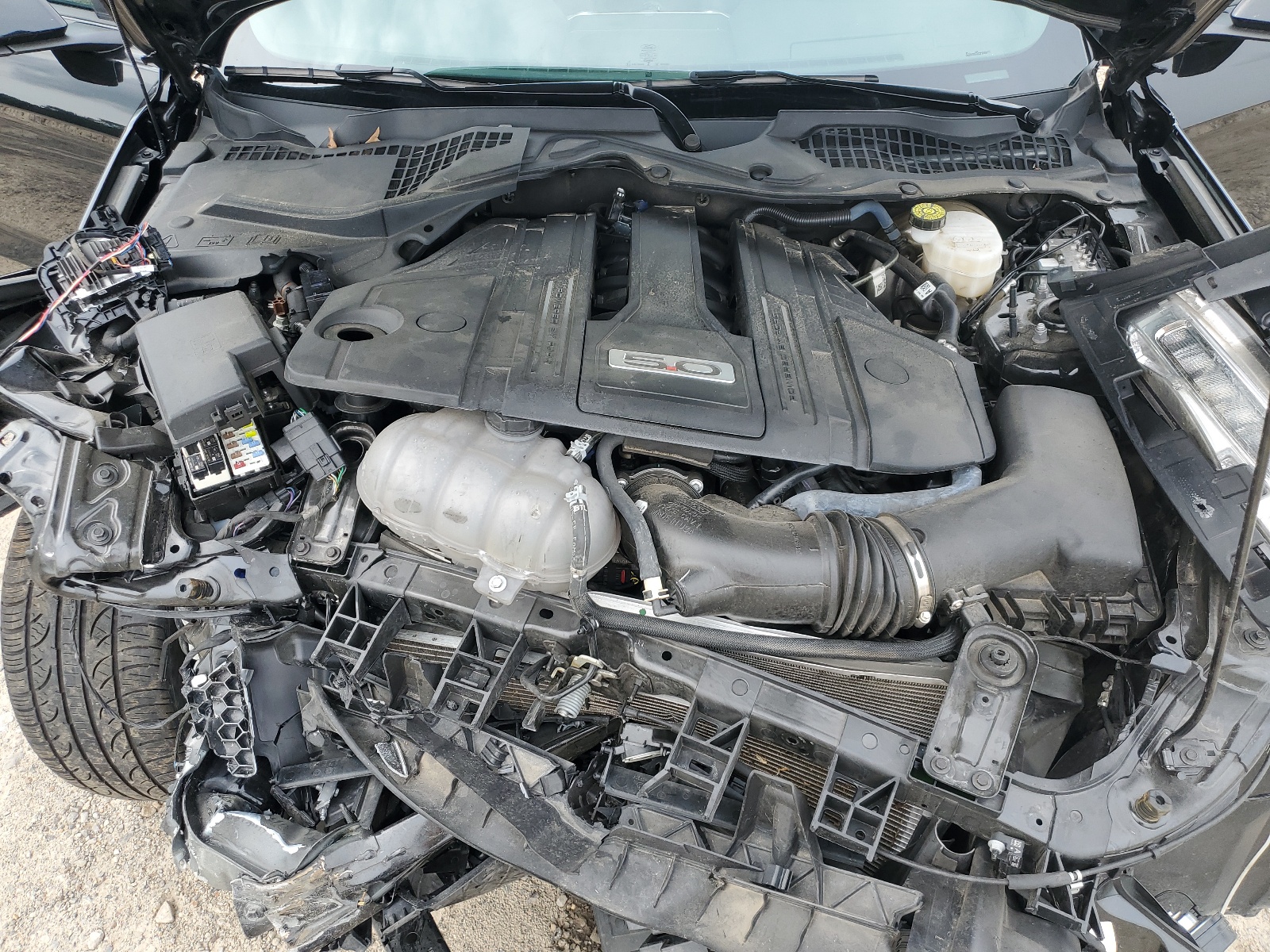 1FA6P8CF5N5132174 2022 Ford Mustang Gt