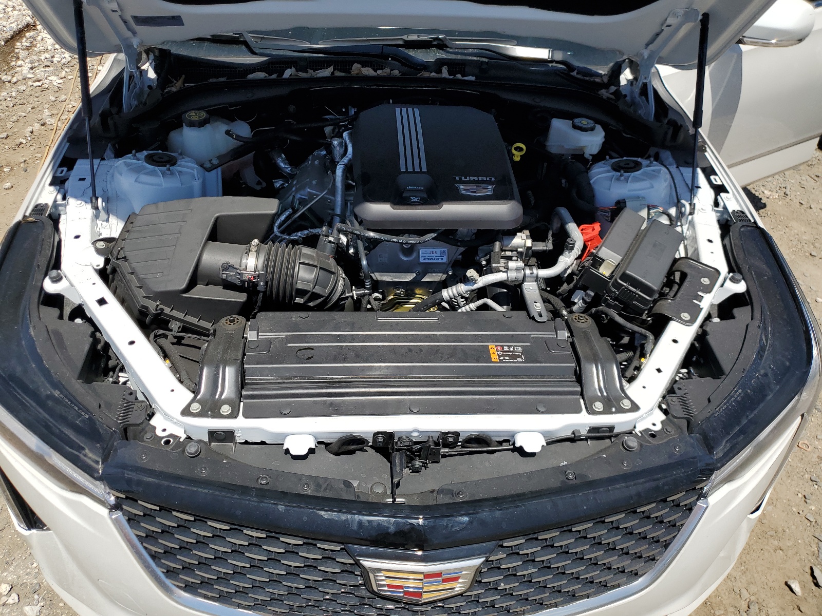 1G6DJ5RK4P0124625 2023 Cadillac Ct4 Luxury