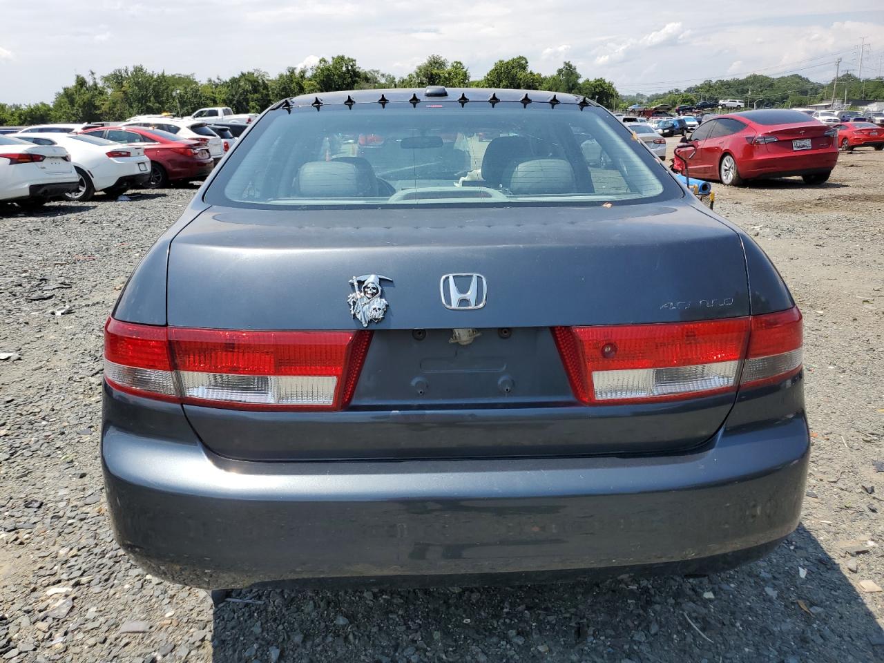 2004 Honda Accord Ex VIN: 1HGCM66554A028398 Lot: 63481614