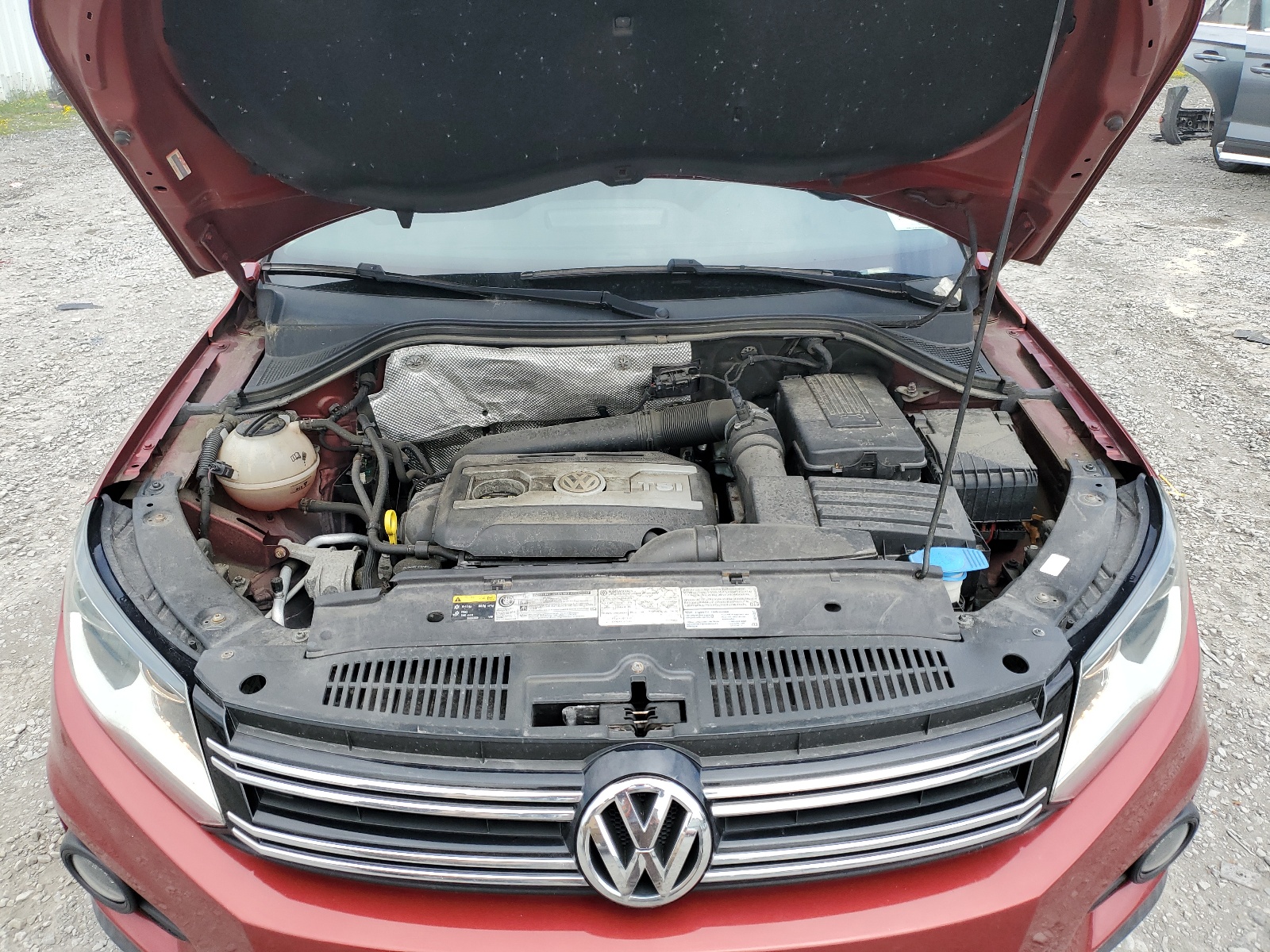 WVGBV3AXXEW059967 2014 Volkswagen Tiguan S