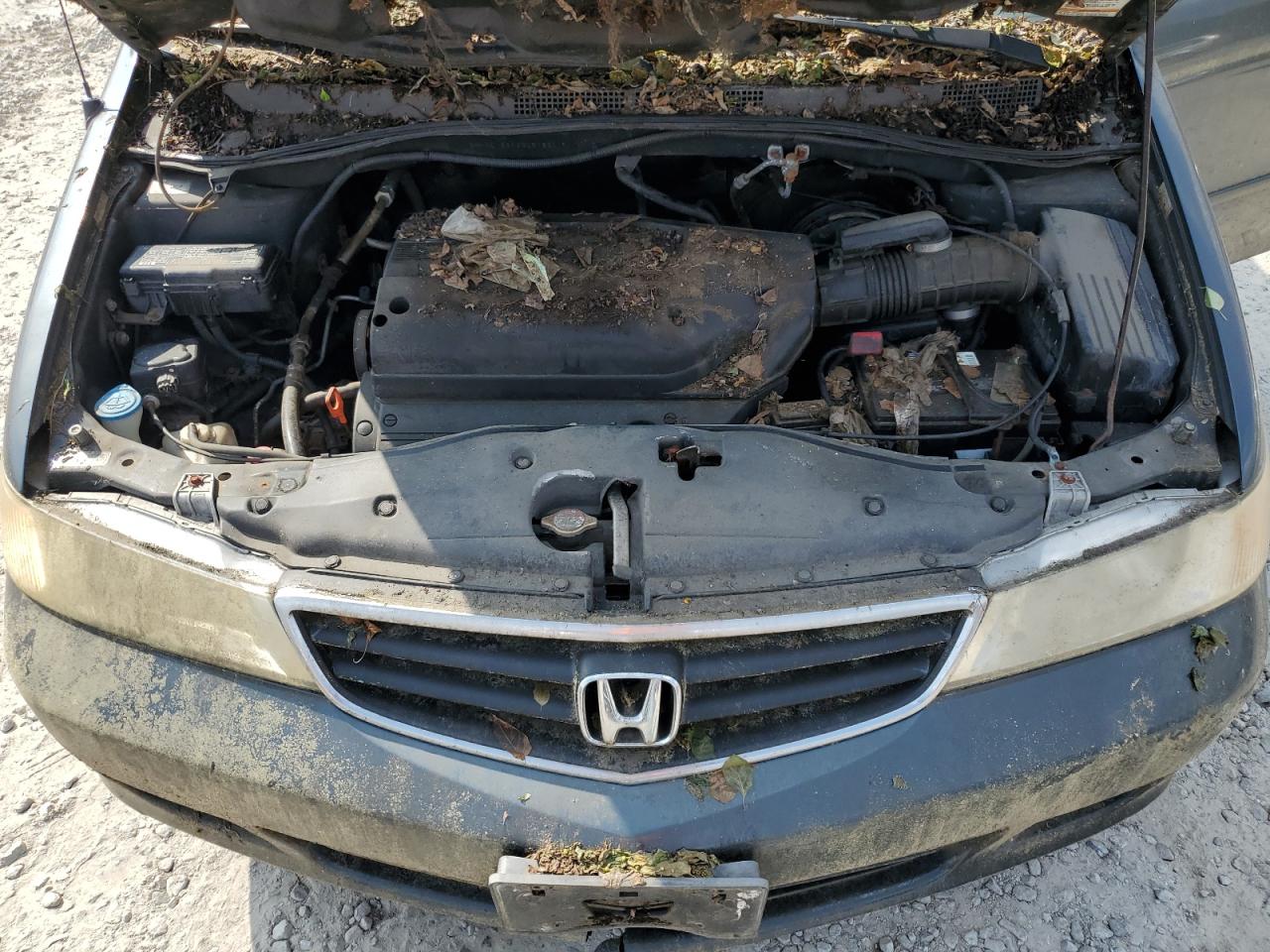 2003 Honda Odyssey Ex VIN: 5FNRL18603B057821 Lot: 61977074