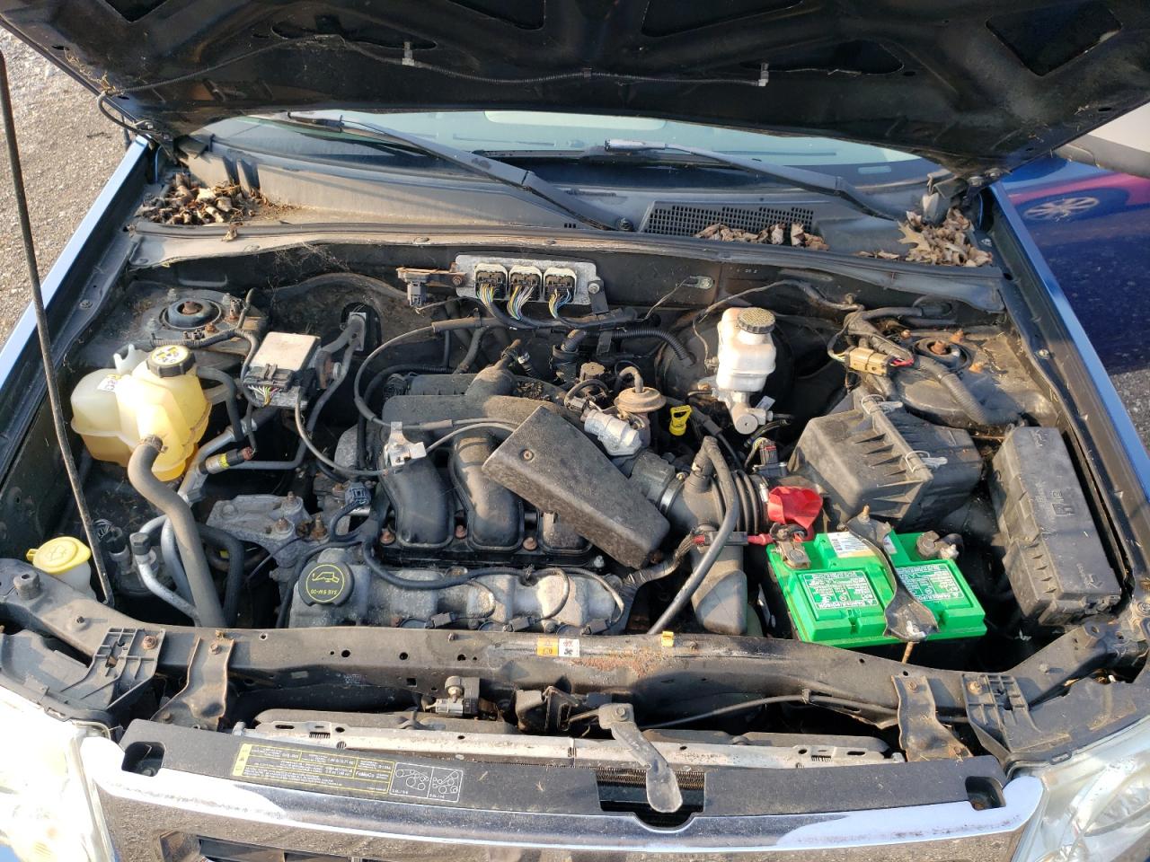 2008 Ford Escape Xlt VIN: 1FMCU93198KA29051 Lot: 64596304