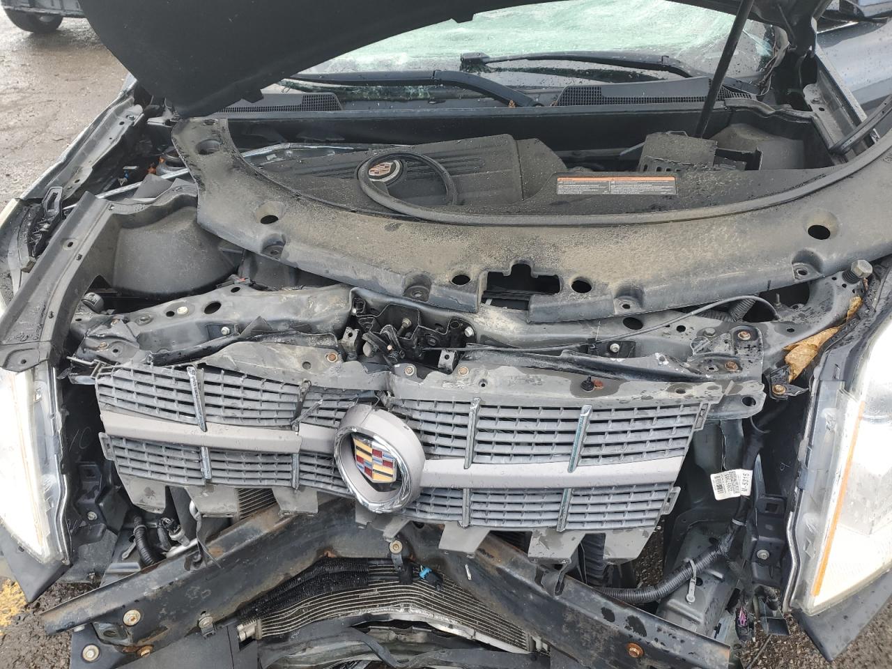 2012 Cadillac Srx Performance Collection VIN: 3GYFNEE36CS562455 Lot: 61845934