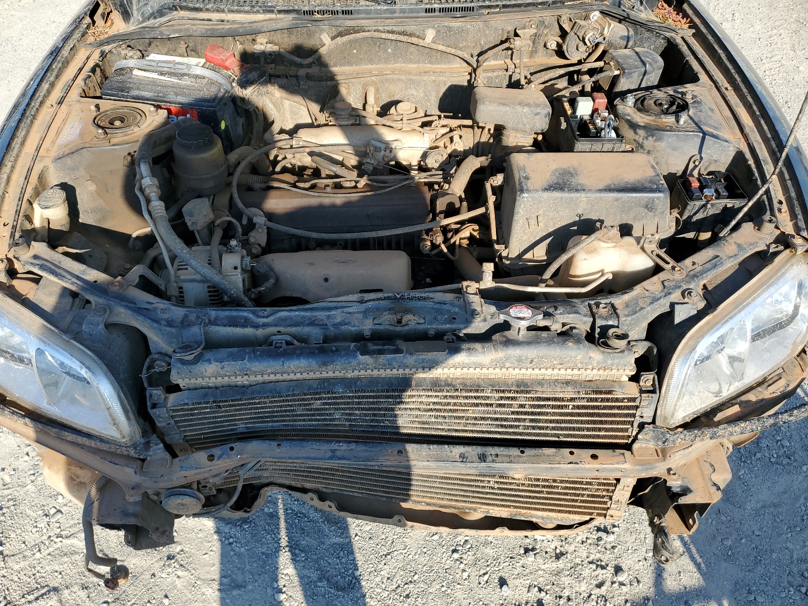 JT3GP10V8W7031089 1998 Toyota Rav4