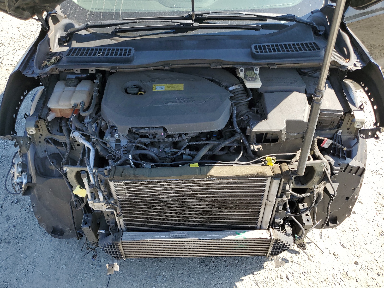 1FMCU0GX3EUA53386 2014 Ford Escape Se