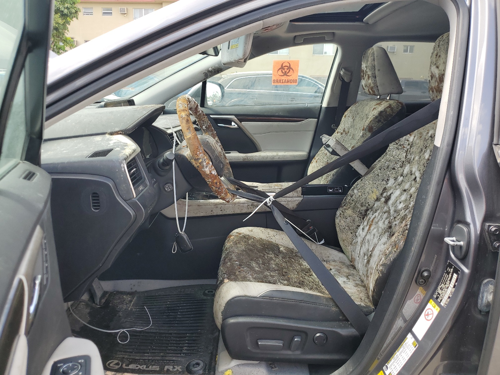 2T2BZMCA2GC016223 2016 Lexus Rx 350 Base