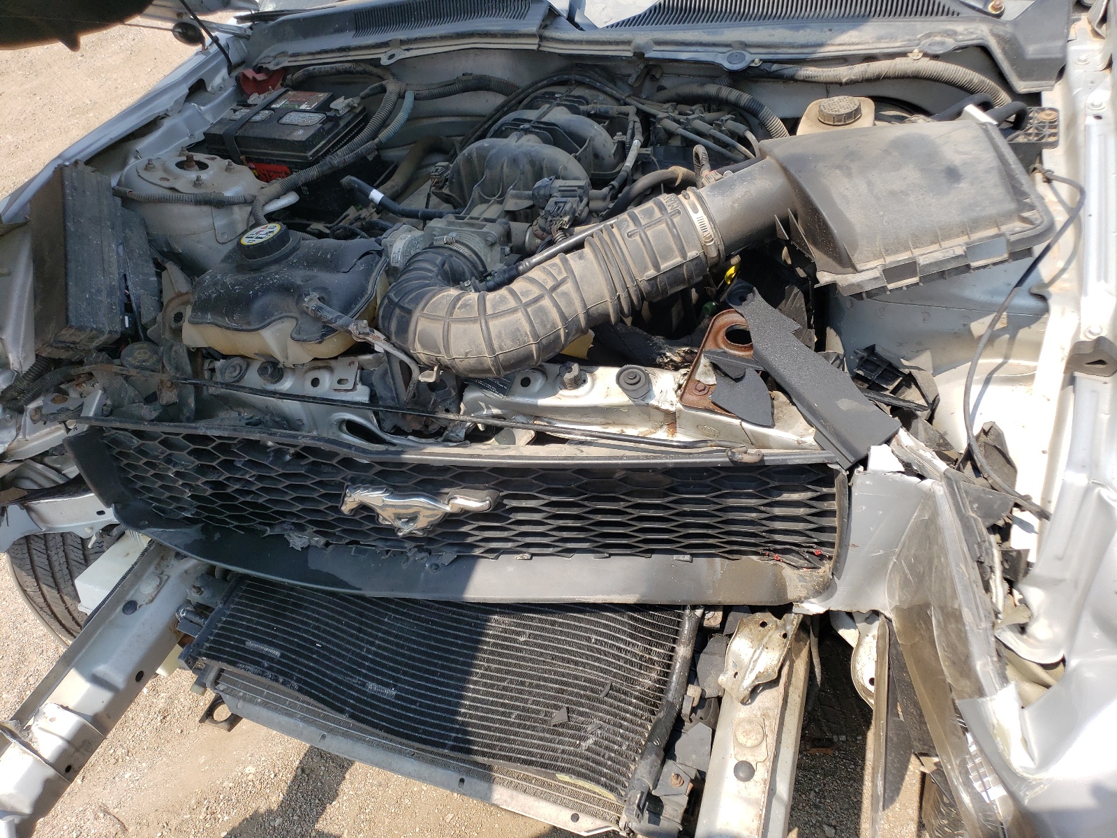 1ZVFT80N365259540 2006 Ford Mustang