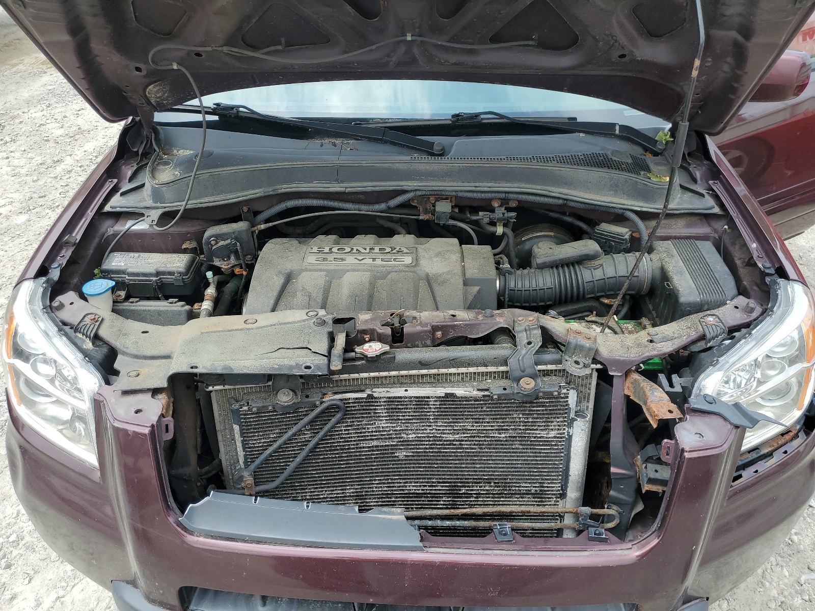 5FNYF18637B023235 2007 Honda Pilot Exl