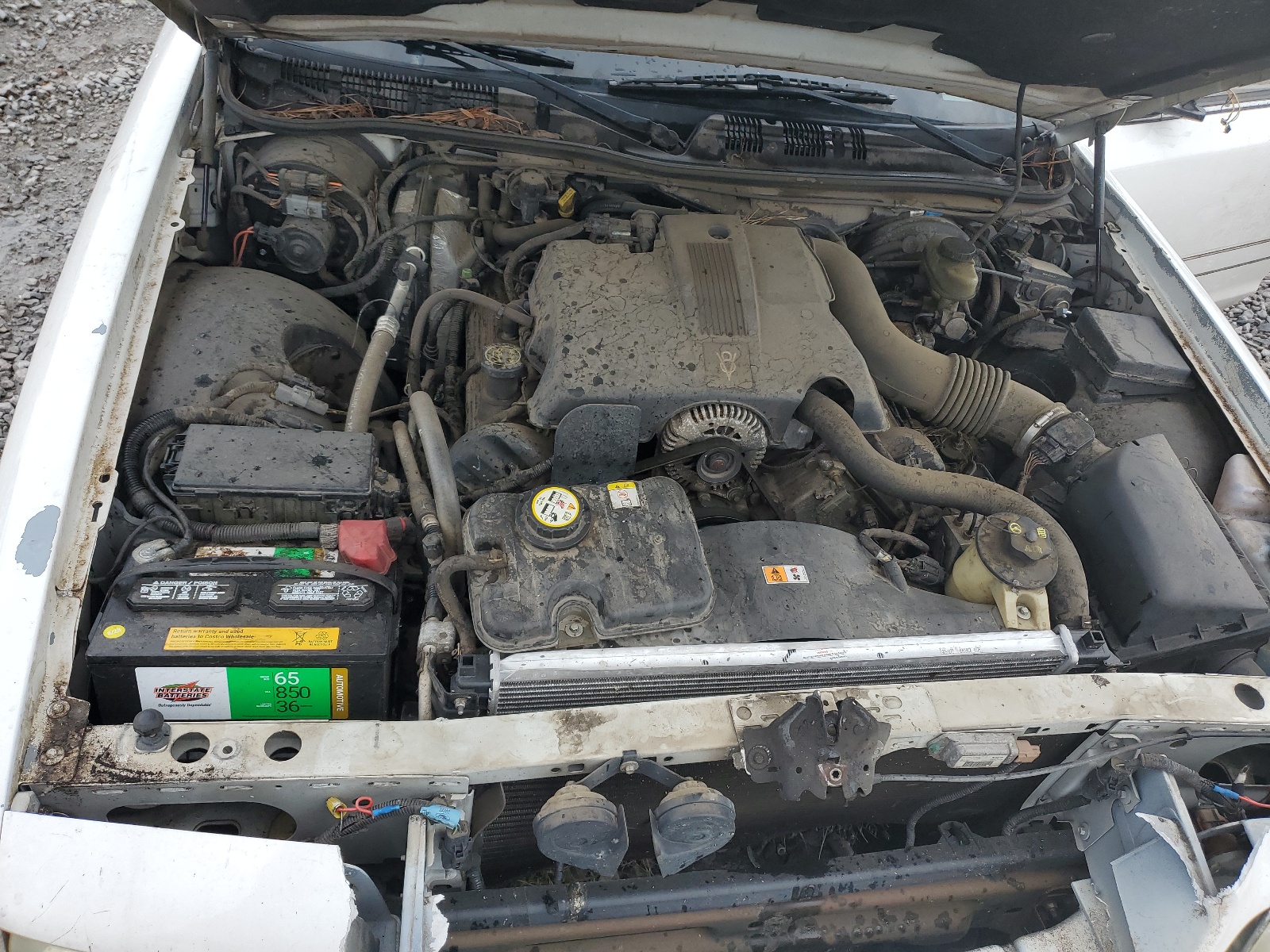 2FAFP73WX3X100505 2003 Ford Crown Victoria