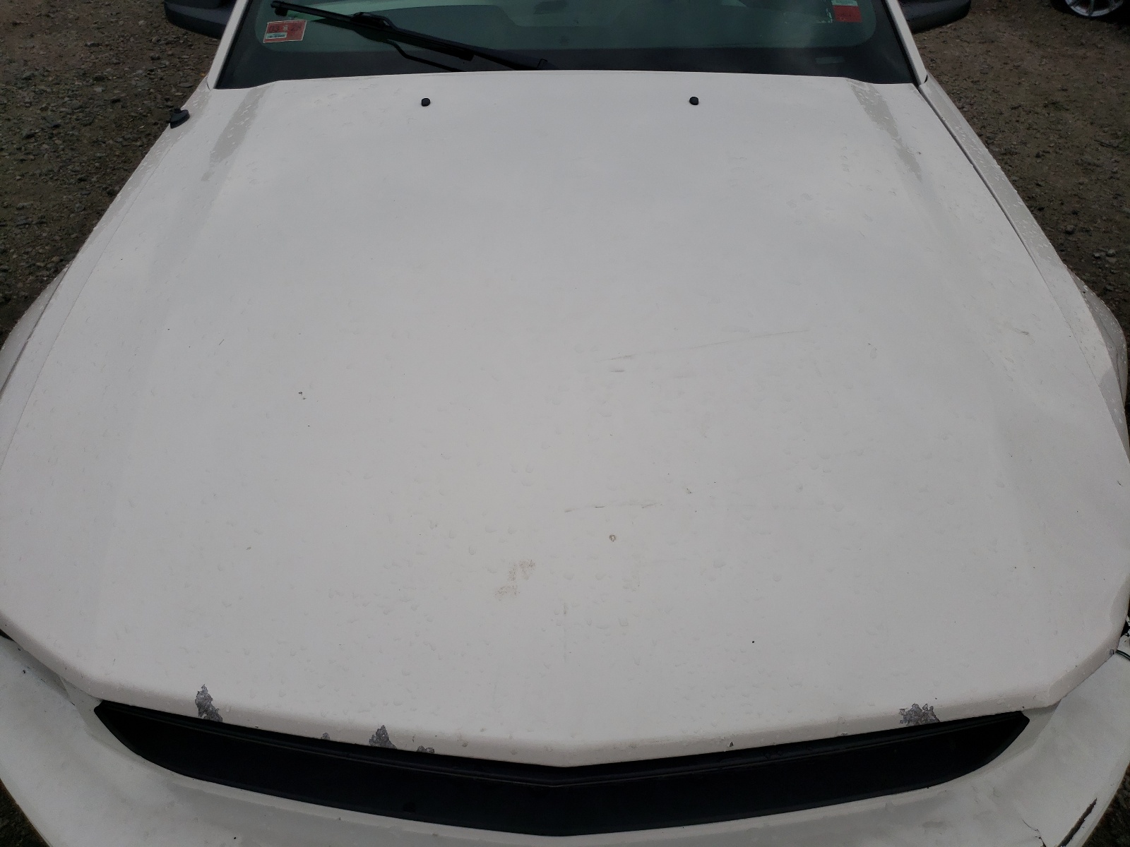 1ZVHT84N985146326 2008 Ford Mustang