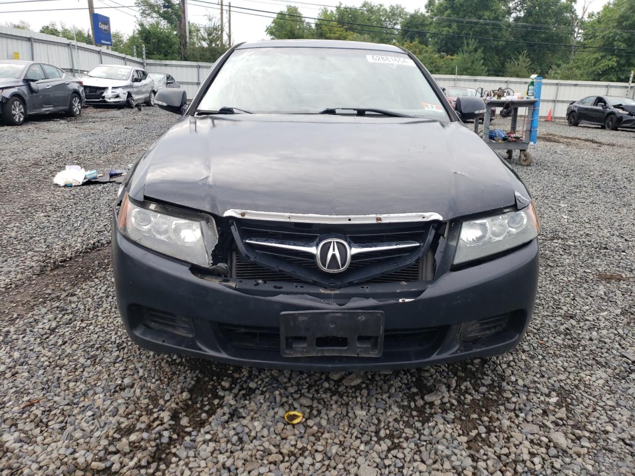 2004 Acura Tsx VIN: JH4CL968X4C042068 Lot: 62881654